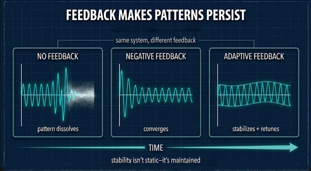 Feedback as regime grammar